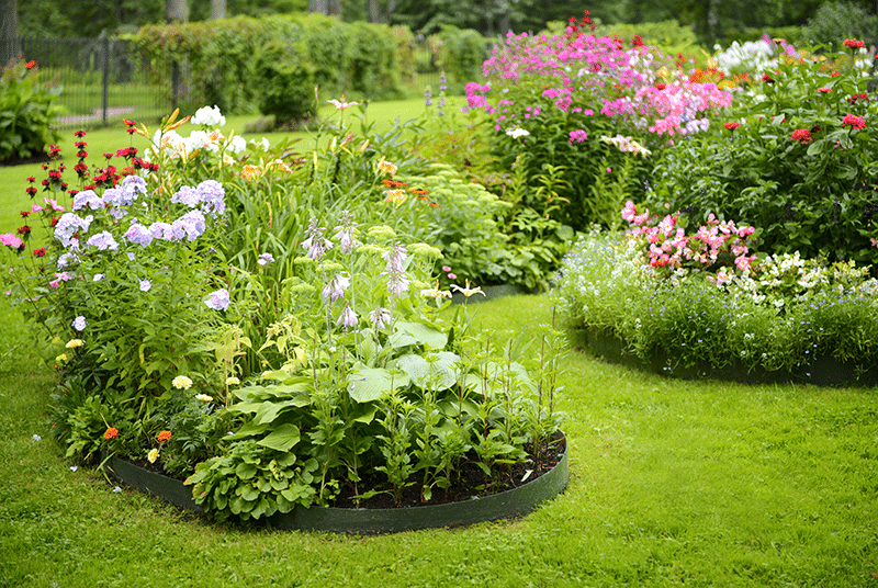 Soil Improvement and Bed Preparation