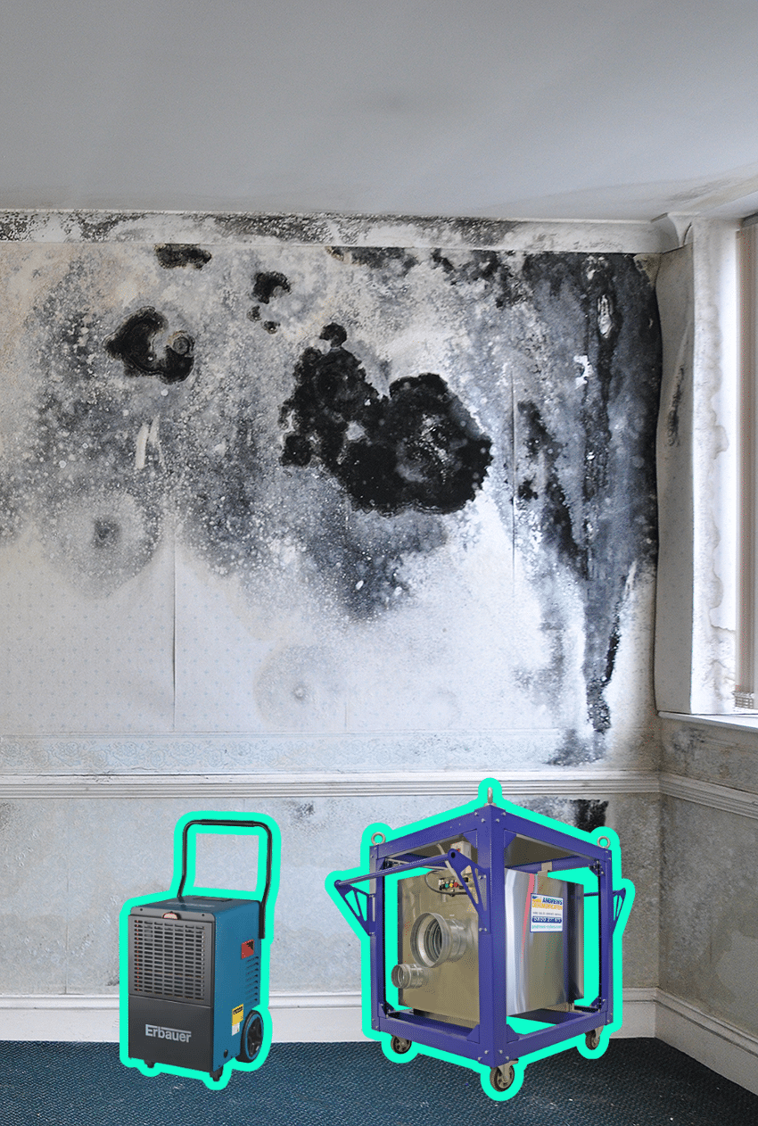 Black mouldy internal house wall showing compressor and desiccant dehumidifier