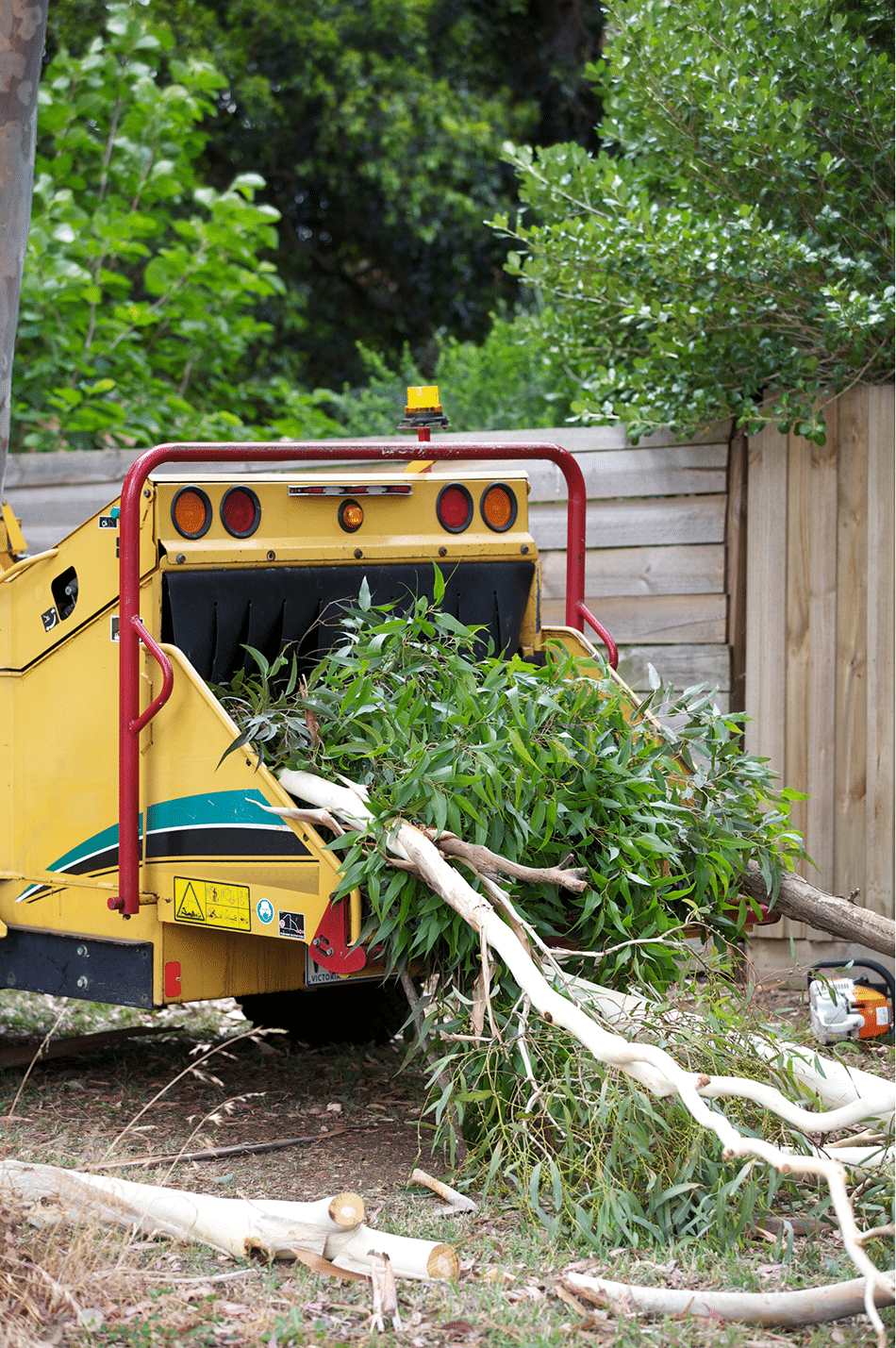 A wood chipping machine in action with tree branches inserted